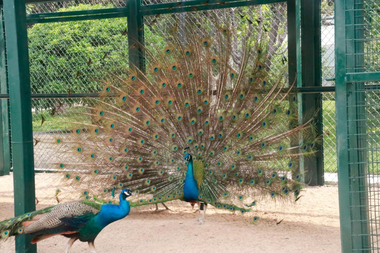 ホテル ウィンダム チンタオ 青島市 エクステリア 写真